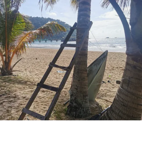 Île Tioman